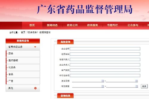 醫(yī)療器械產(chǎn)品技術(shù)要求開(kāi)放查詢(xún) 專(zhuān)業(yè)解讀與技術(shù)服務(wù)指南